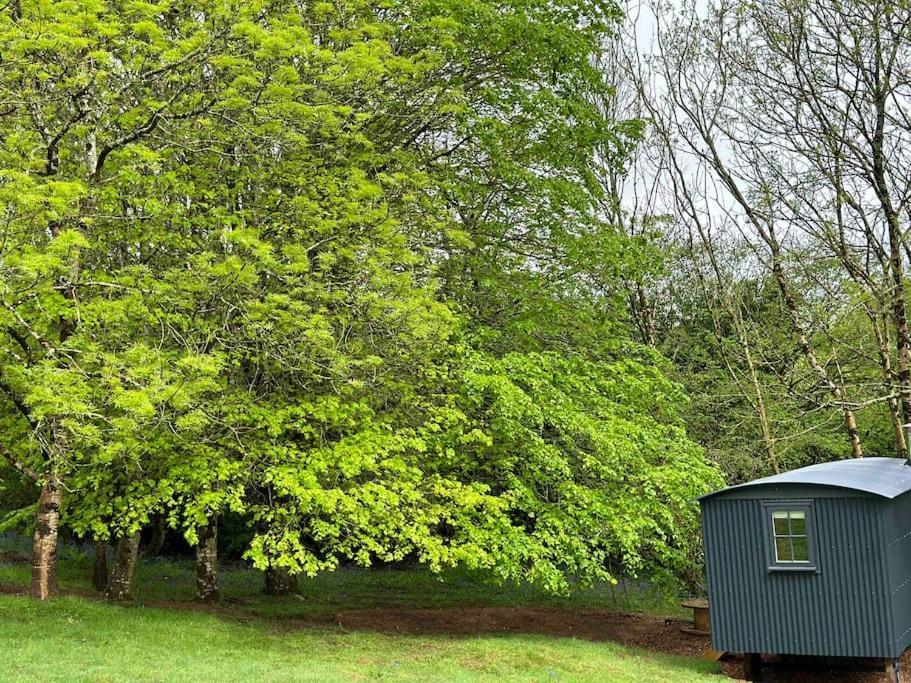 Cornwall Woodland Shepherd'S Hut Deirdres Hut Бодмін Екстер'єр фото