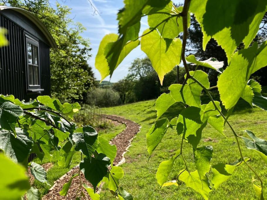 Cornwall Woodland Shepherd'S Hut Deirdres Hut Бодмін Екстер'єр фото
