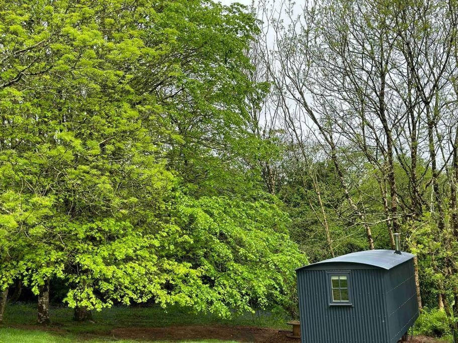 Cornwall Woodland Shepherd'S Hut Deirdres Hut Бодмін Екстер'єр фото
